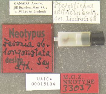 Media type: image;   Entomology 33037 Aspect: labels